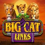 Big Cat Links